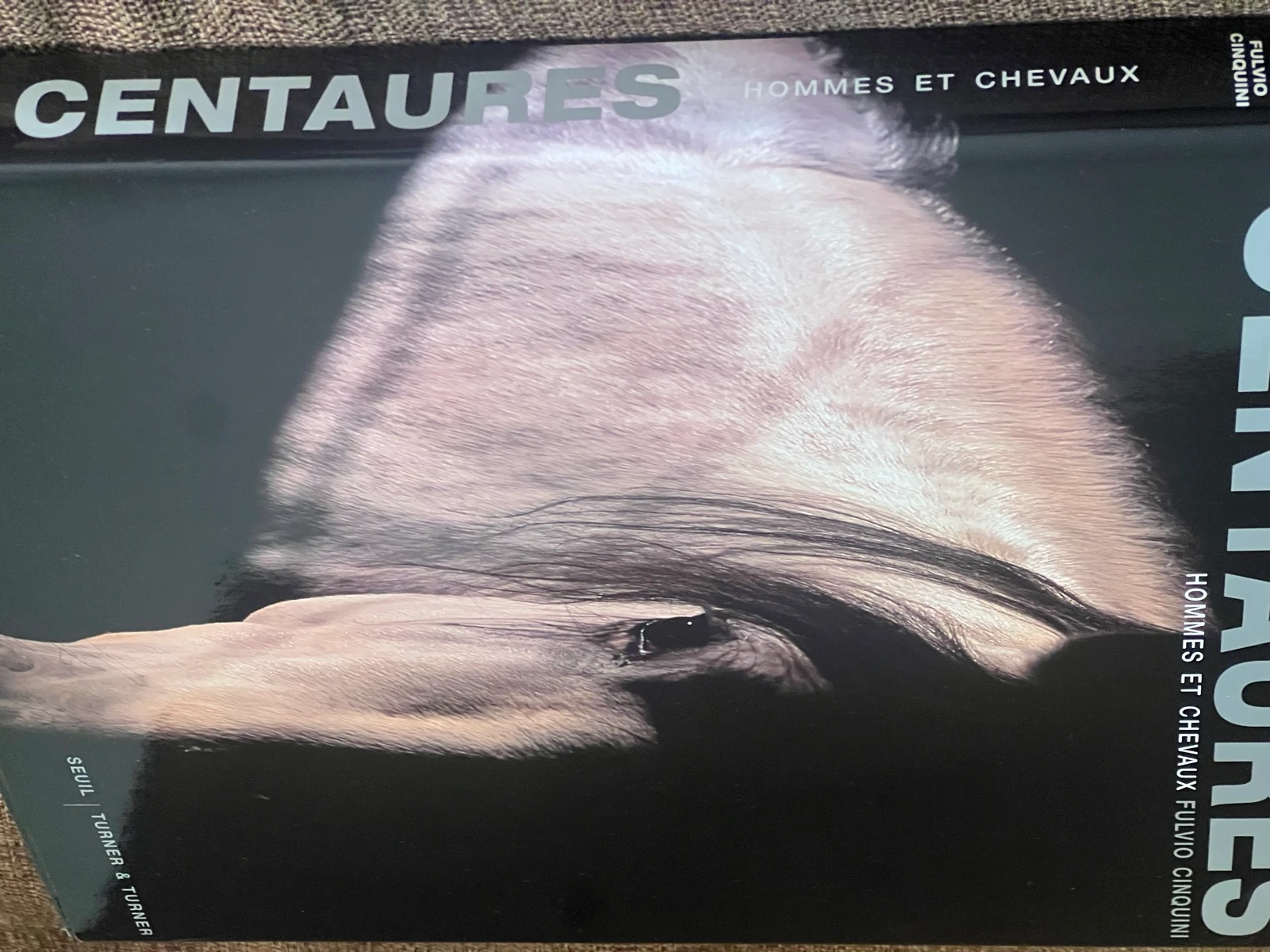 Centaures Men and Horses – photo 2